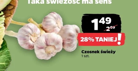 Часник Katarzyna Stoparczyk