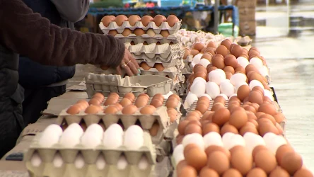 Czy białe jajka są lepsze niż brązowe? 