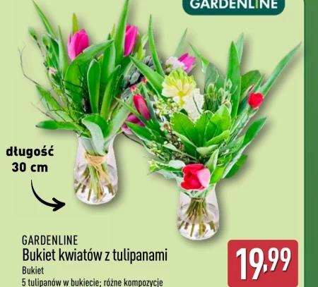 Букет тюльпанів Gardenline