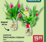 Букет тюльпанів Gardenline