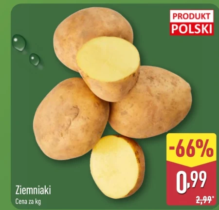 Картопля Polski