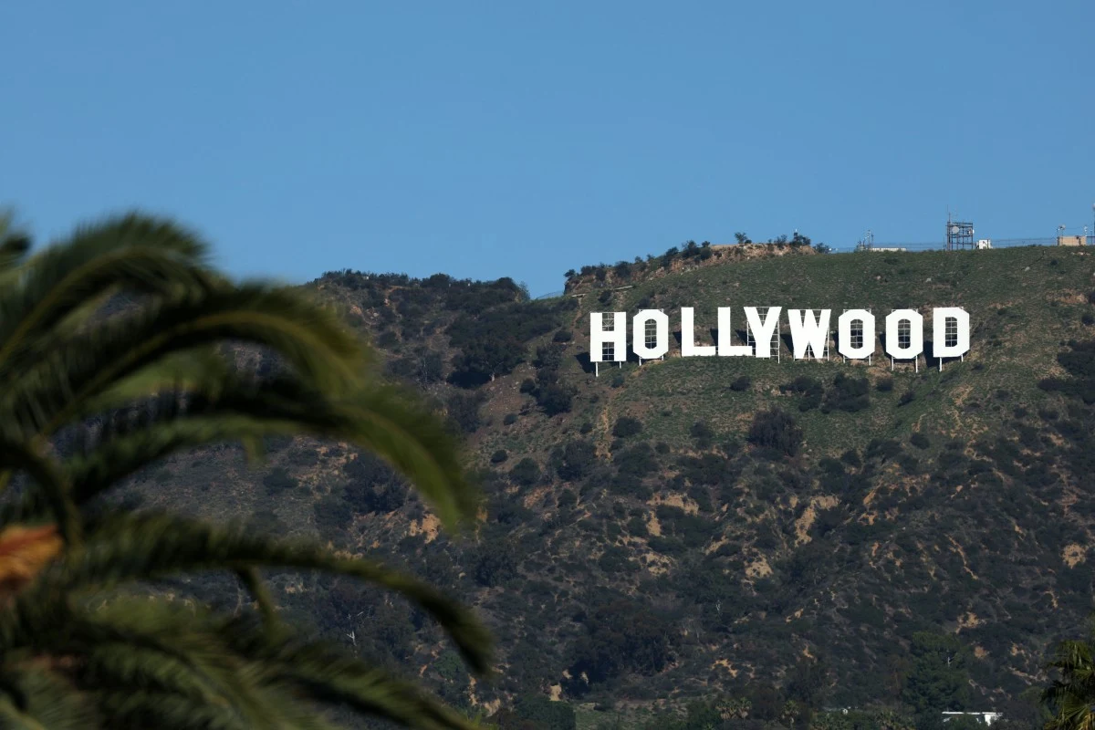 białe litery napisu HOLLYWOOD umieszczone na wzgórzu porośniętym suchą roślinnością, na pierwszym planie fragment liści palmy