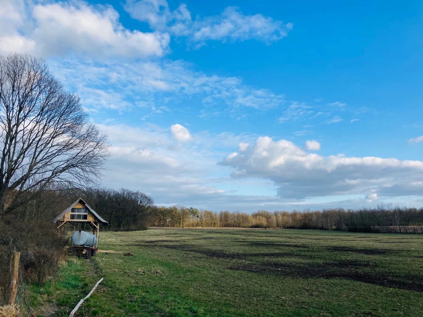 mała, drewniana stodoła z beczką na wodę stoi na skraju dużej, otwartej łąki, otoczonej lasem; po lewej stronie widoczne są bezlistne drzewa, a nad całością rozpościera się niebieskie niebo z białymi chmurami