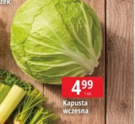Kapusta