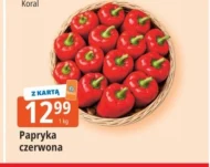Papryka Koral