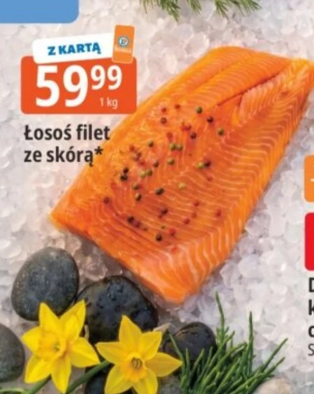 Лосось Łosoś