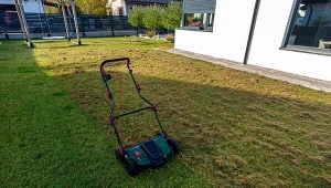 Filc i mech z trawnika usuwa bezbłędnie. Wiosną to obowiązkowy zabieg