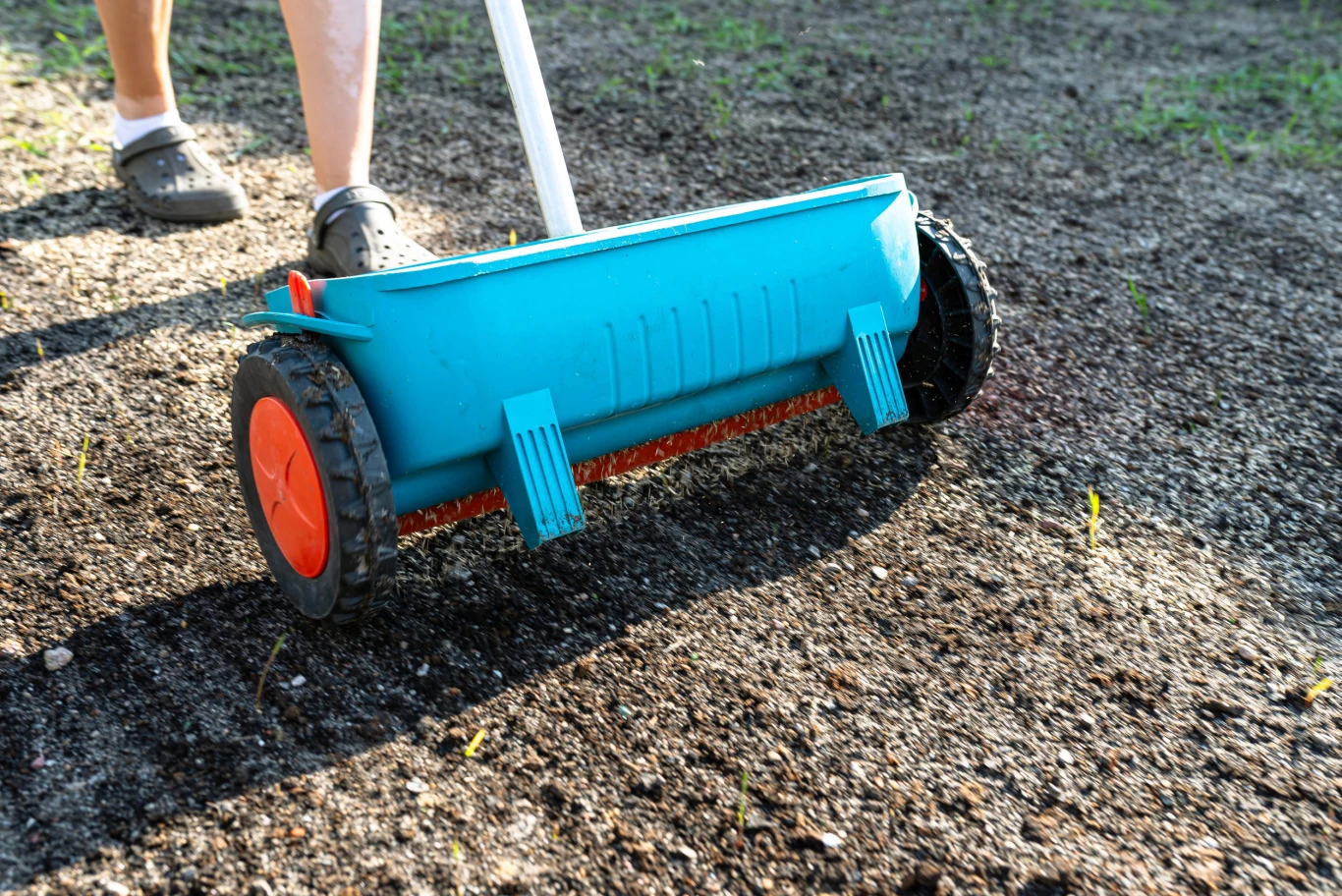 siewnik ogrodowy o niebieskiej obudowie i pomarańczowych kołach przesuwany po ziemi, na której widać świeżo rozsiane nasiona