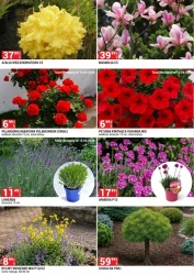 Urządź swój ogród - Merkury Market