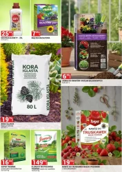 Urządź swój ogród - Merkury Market