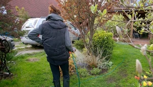 Rozcieńcz i solidniej podlej trawnik. Nie ma lepszego sposobu na pędraki