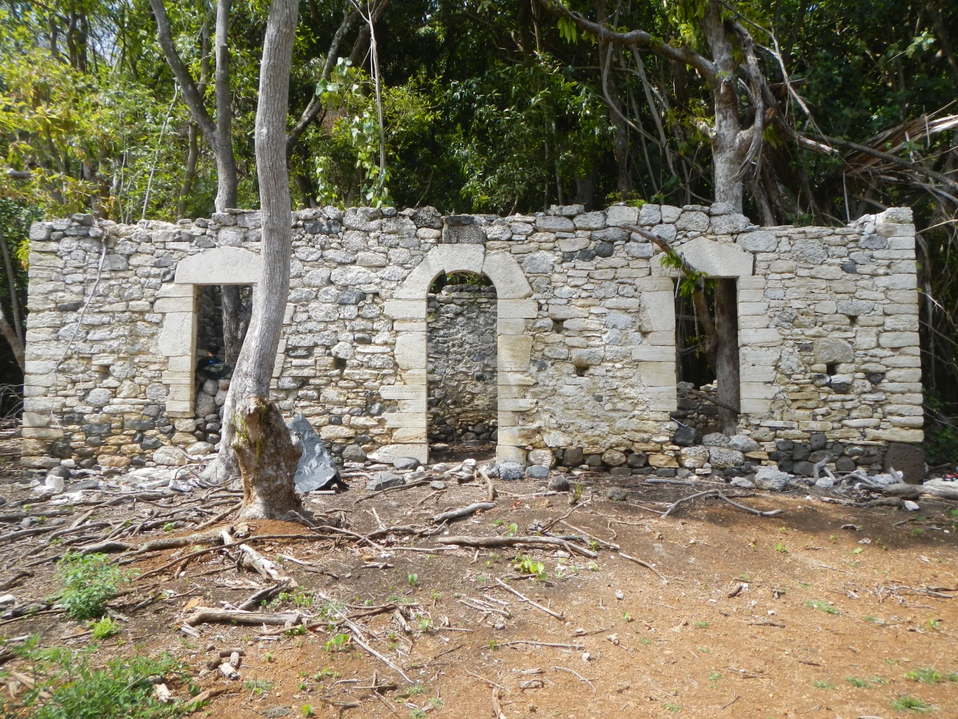 kamienna ruina budynku z trzema otworami – dwoma oknami i jednymi drzwiami, pozbawiona dachu, otoczona korzeniami i gałęziami drzew, stojąca na ziemi pokrytej suchymi gałęziami i liśćmi