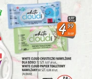 Chusteczki nawilżane Albaad