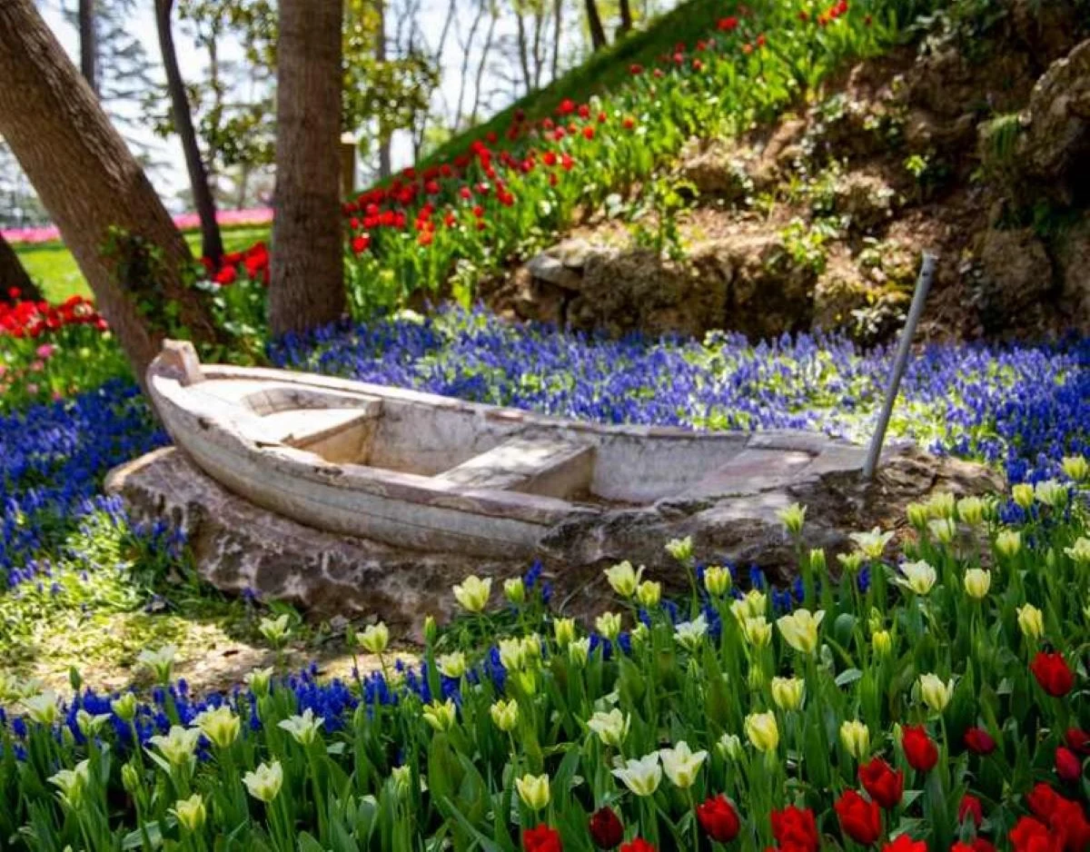 Stara łódź stoi wśród kolorowych kwiatów, głównie fioletowych, czerwonych i żółtych tulipanów, otoczona drzewami i skałami w ogrodzie o bujnej roślinności.
