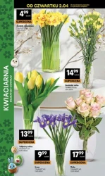 Świeże okazje na każdy dzień – Delikatesy Centrum