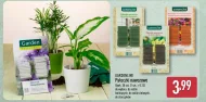 Pałeczki nawozowe Gardenline