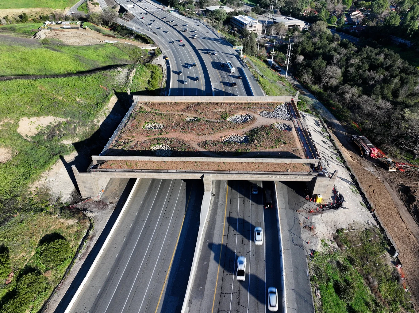 most nad autostradą pokryty roślinnością, służący jako zielony korytarz dla zwierząt, ułatwiający bezpieczne przejście między zalesionymi terenami po obu stronach ruchliwej drogi