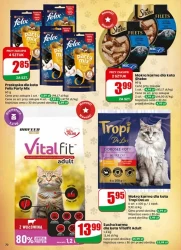 Tydzień pełen świeżych smaków – Dino