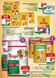 Tydzień pełen świeżych smaków – Dino