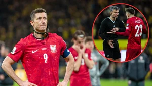 Oszustwo w meczu Polaków ze Szwecją? Niemcy nie mają żadnych wątpliwości