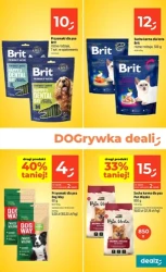Słodkie okazje na zajączka - Dealz
