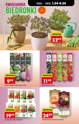 Pyszne święta w niskiej cenie - Biedronka