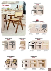 Super rabaty! - Bodzio