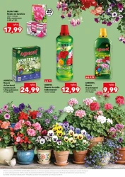 Wiosenne inspiracje - Kaufland