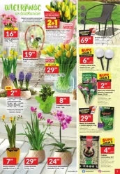 Wesołych świąt wielkanocnych! - Twój Market