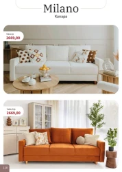 Super rabaty! - Bodzio