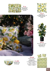 Super rabaty! - Bodzio