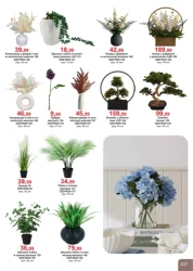 Super rabaty! - Bodzio