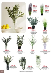 Super rabaty! - Bodzio