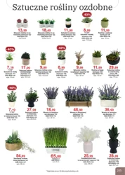 Super rabaty! - Bodzio