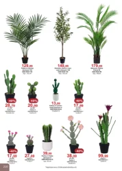 Super rabaty! - Bodzio