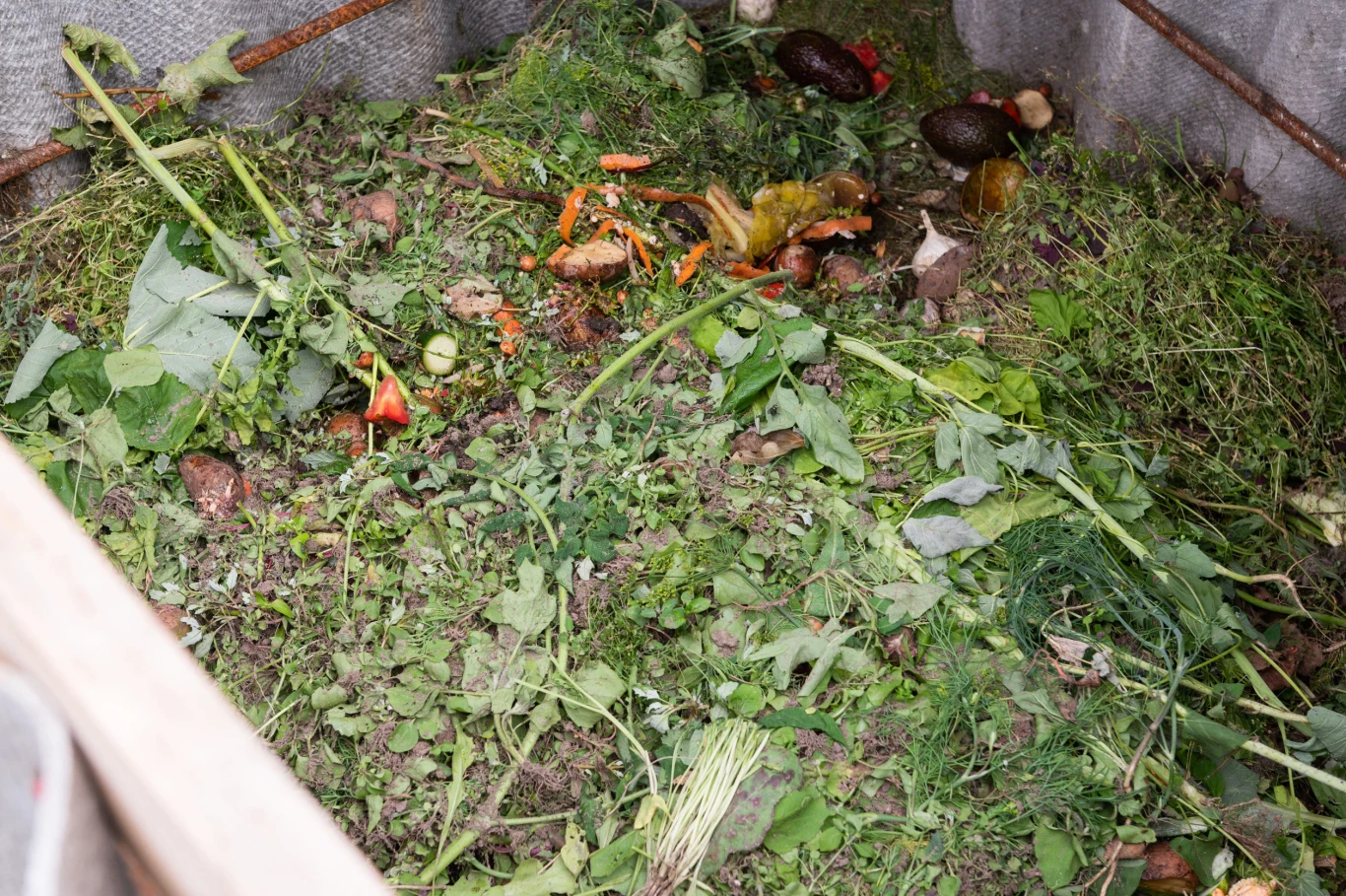 świeże i częściowo rozłożone resztki roślinne, ścięta trawa oraz warzywa umieszczone w kompostowniku