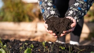 Kompost się nie rozkłada? Jeden ruch przyspiesza pracę o kilka miesięcy