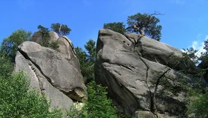 Mieszkasz w Rzeszowie? Niedocena perła Podkarpacia