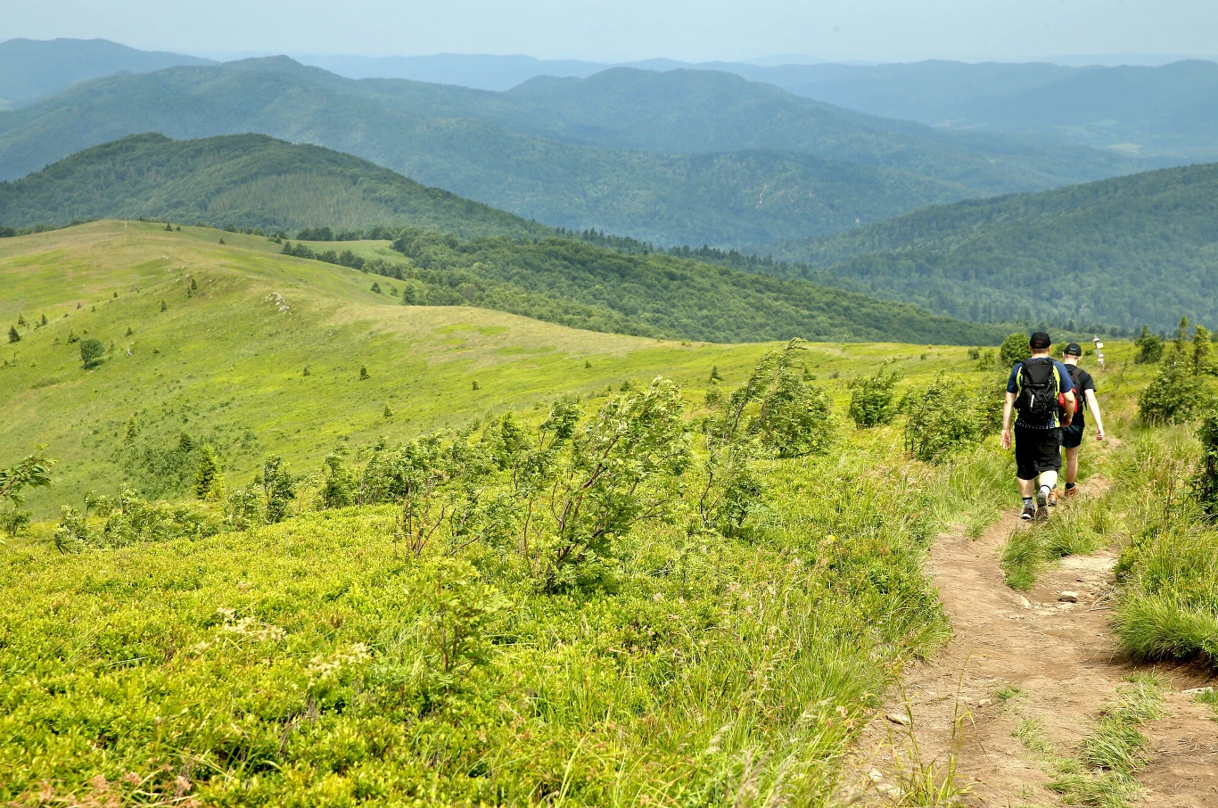 dwóch turystów wędruje wąskim szlakiem pośród zielonych wzgórz i łagodnych grzbietów, w tle rozciągają się kolejne pasma górskie porośnięte lasem