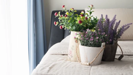 Jakich kwiatów nie trzymać w sypialni i dlaczego? Sprawdź, które piękne kwiaty lepiej pozostawić w salonie.