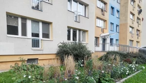 Własny ogródek przed blokiem - czy to legalne? Tylko w takim przypadku