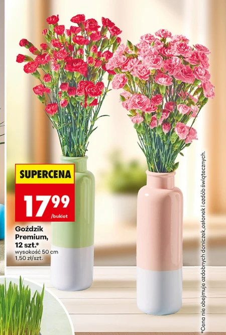 Гвоздика Premium