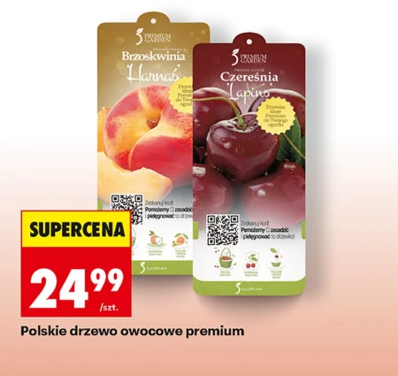 Фруктове дерево Premium