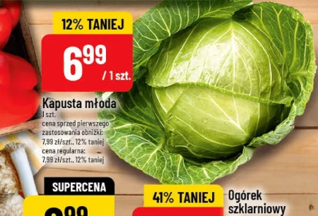 Молода капуста