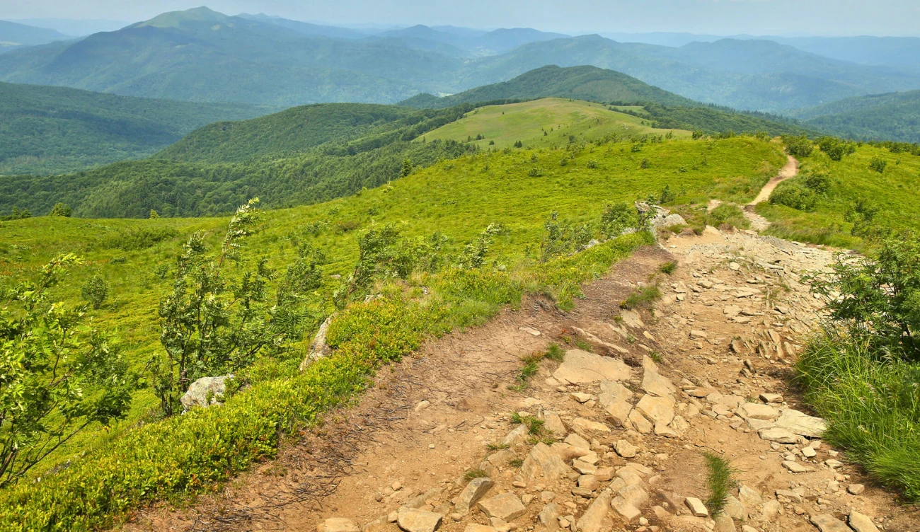 Ile się wchodzi na Bukowe Berdo? Kamienista ścieżka na Bukowe Berdo wśród zielonych wzgórz i górskich lasów w tle.