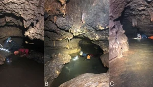 Zalana jaskinia Bender's Cave w Teksasie. Badacze odkryli niezwykłe skamieniałości zwierząt, których teoretycznie nie powinno tam być