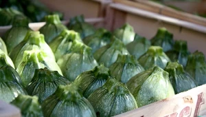 Cukinia już od dawna nie jest wyłącznie warzywem sezonowym