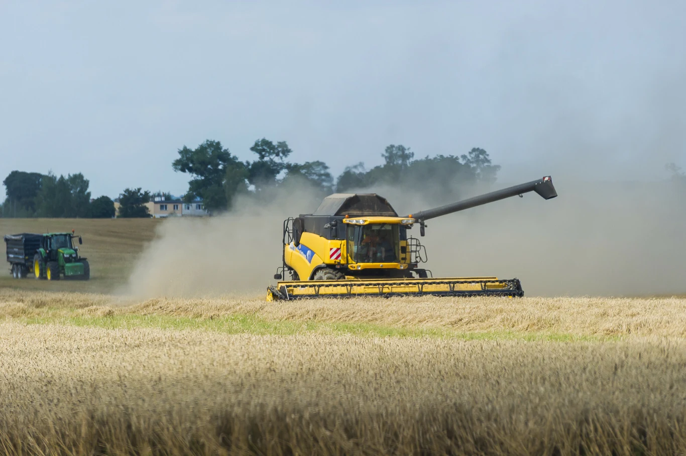 duży żółty kombajn dokonujący zbioru zboża na polu, unoszący za sobą chmurę kurzu, w tle zielony ciągnik rolniczy oraz drzewa i zabudowania