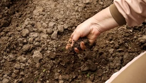 Kompost się nie rozkłada? Jeden ruch przyspiesza pracę o kilka miesięcy