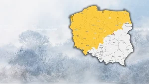 Na północnym zachodzie miejscami przy gruncie będzie do -7 st. C, a lokalnie pojawią się też gęste mgły - ostrzega IMGW